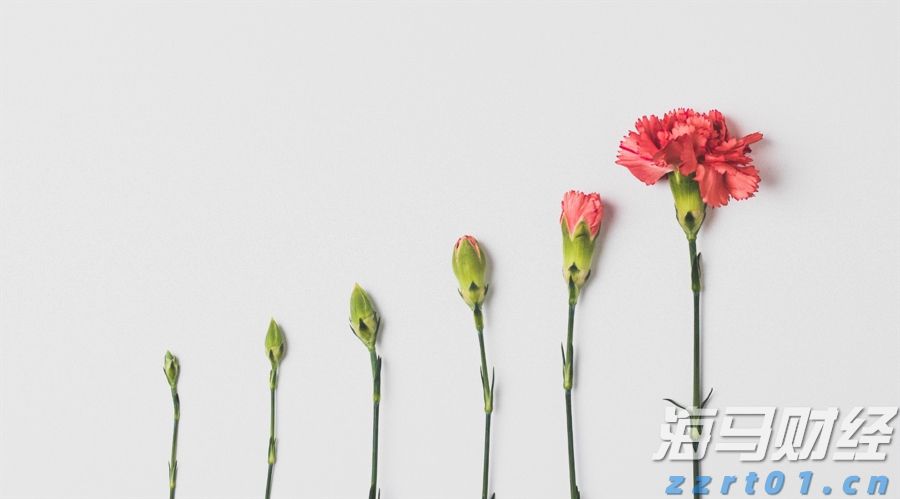 创新药热潮持续！医药基金7月表现亮眼，年内12只基金翻倍